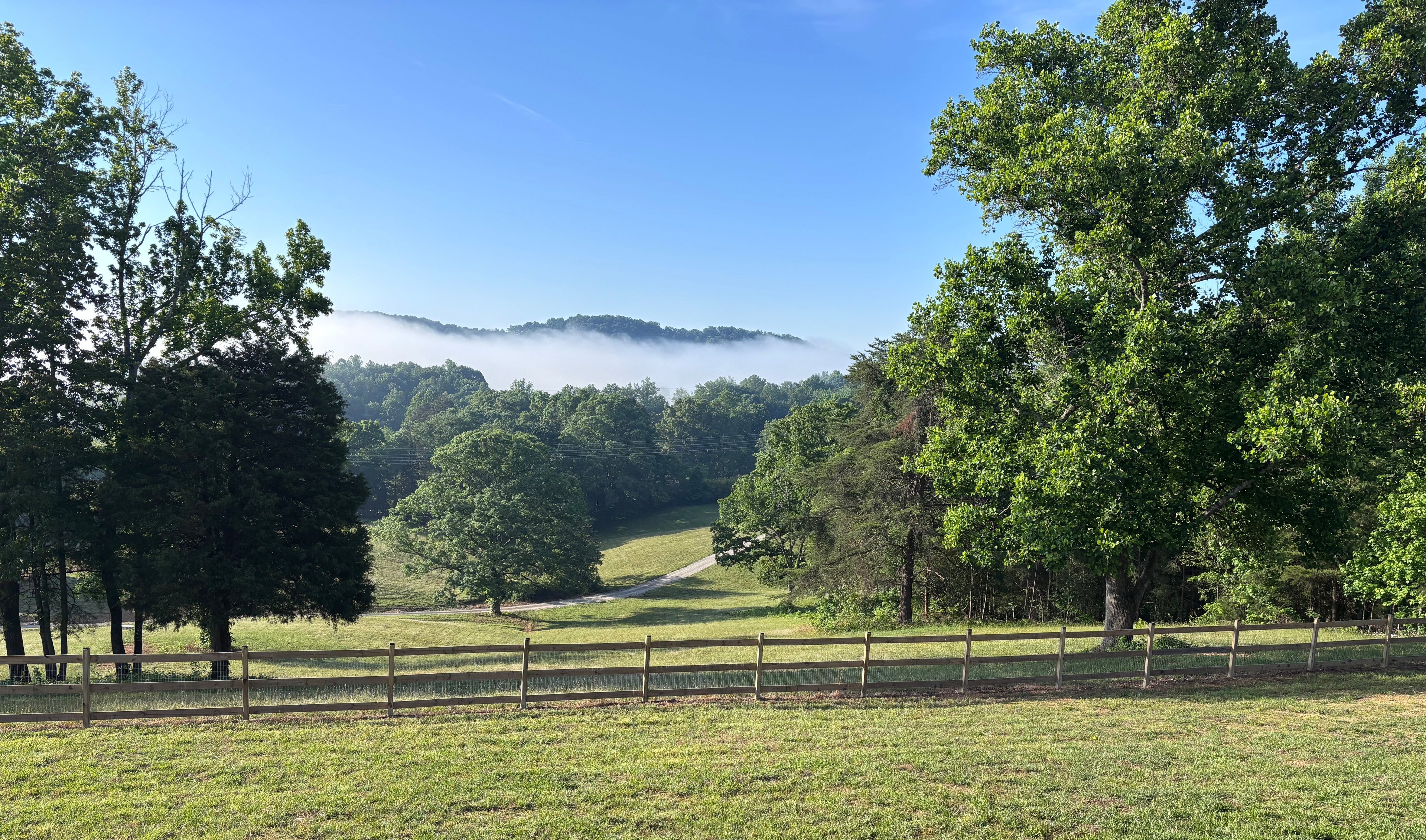 Lush green field with trees and a fence, under a clear blue sky.